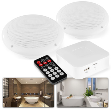 Power Dynamics BT20 Zesilovač s Bluetooth a stropními koupelnovými reproduktory - 80W