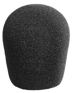 Neumann WNS 120