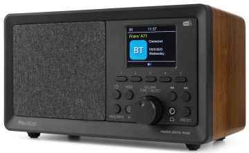 Audizio Padova DAB+ Radio Wood