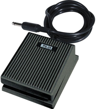 StudioLogic PS250