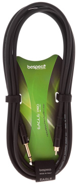 Bespeco EAJR300