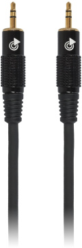 Bespeco EA2M100