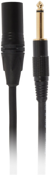 Bespeco EAJX600R