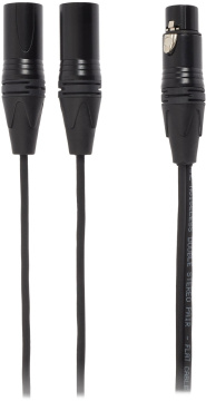 Bespeco EAYFX2X150R