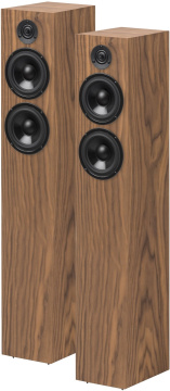 Pro-Ject Speaker Box 10 DS2 Walnut