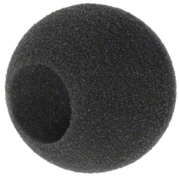 Sennheiser MZW 421