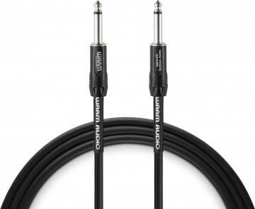 Warm Audio Pro-SPKR-6'