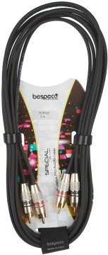 Bespeco RCR300