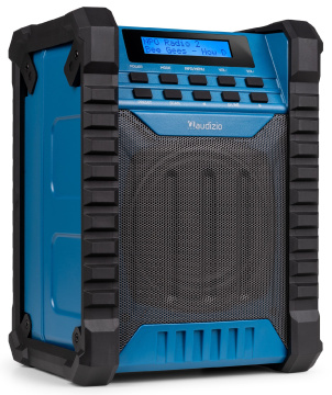 Audizio Temi