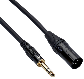 Bespeco EASX900R