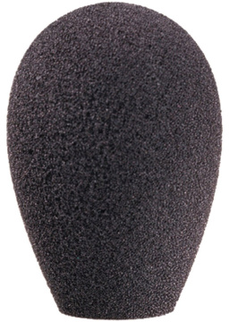 AKG W 32