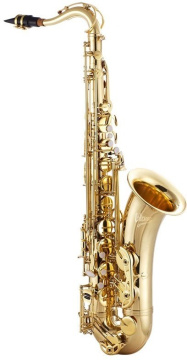 V-TONE TS 100