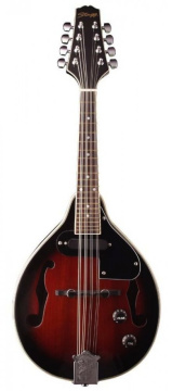 Stagg M50 E