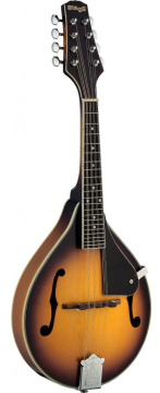 Stagg M40 S