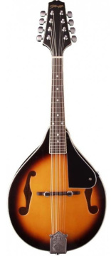 Stagg M20 S