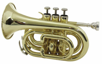 Dimavery TP-300 B trubka kapesní