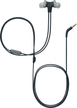 JBL Hi-Fi Endurance Run Black
