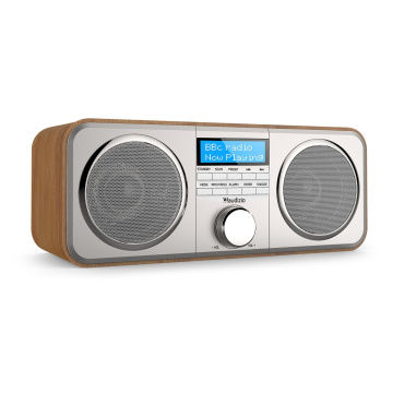 Audizio Novara stereo rádio FM/DAB+, stříbrné