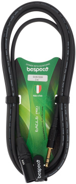 Bespeco EASX300R