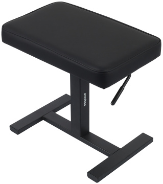 Bespeco SG60NP