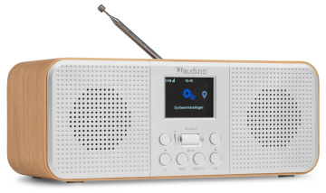 Audizio Bucine silver
